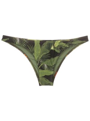 Lygia & Nanny tropical-print low-rise bikini bottoms - Green