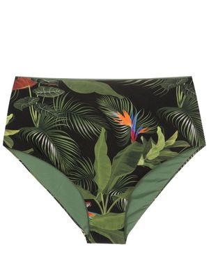 Lygia & Nanny Violeta leaf-print bikini bottoms - Green