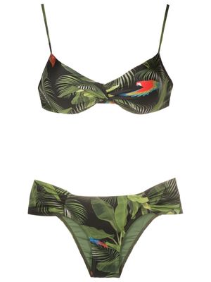 Lygia & Nanny Vitória leaf-print bikini - Green