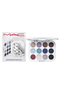 MAC Cosmetics Snowbody's Business Eye Shadow Palette