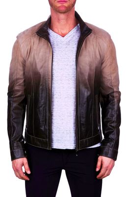Maceoo Degrade Ombré Leather Jacket in Brown