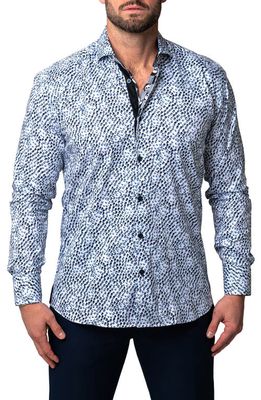 Maceoo Einstein Pool White Button-Up Shirt in Blue/White