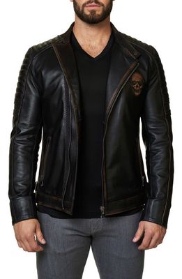 Maceoo Skull Leather Moto Jacket in Brown