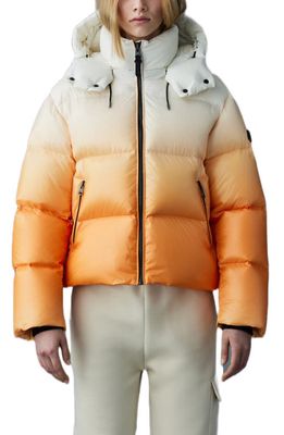 Mackage Evie Oversize 800 Fill Power Down Puffer Jacket in Sunset