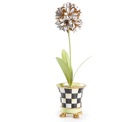 MacKenzie-Childs Botany Potted Allium Flower