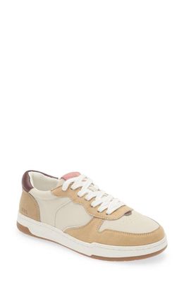 Madewell Court Low Top Sneaker in Vintage Mulberry Multi