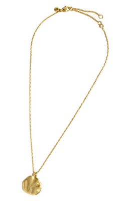 Madewell Hammered Pendant Necklace in Vintage Gold