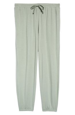 Madewell MWL Superbrushed Easygoing Sweatpants in Frosted Willow