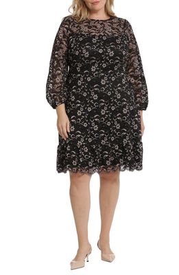 Maggy London Floral Lace Yoke Fit & Flare Dress in Black Multi