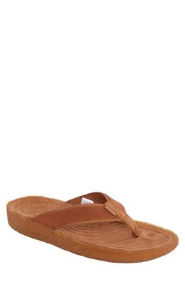 Malibu Sandals Surfrider Flip Flop in Walnut/Tan