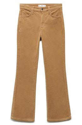 MANGO Crop Flare Corduroy Jeans in Medium Brown