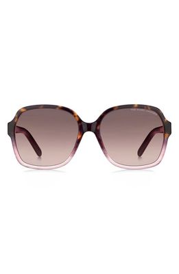 Marc Jacobs 57mm Gradient Square Sunglasses in Havana Burgndy/burgundy Shaded
