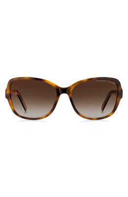 Marc Jacobs 58mm Polarized Gradient Cat Eye Sunglasses in Havana Gold/brown Gradient