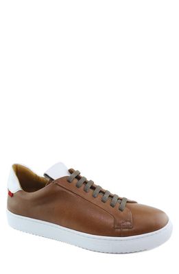 Marc Joseph New York Allen Street Sneaker in Havana Grainy