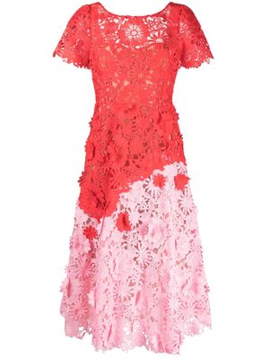Marchesa Notte Dahlia guipure-lace midi dress - Red