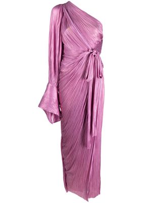 Maria Lucia Hohan Palmer plissé-pleated gown - Pink