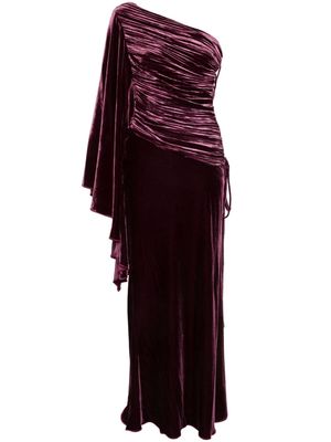 Maria Lucia Hohan Yolanda velvet maxi dress - Purple