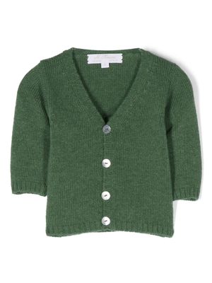 Mariella Ferrari V-neck knitted cardigan - Green