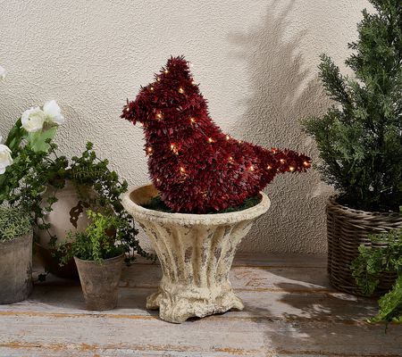Marigold 17" Cardinal Topiary w/ Battery Operated Lights