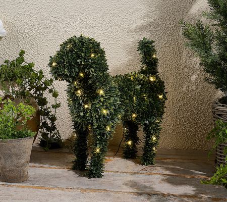 Marigold 17" Dog Topiary with Battery-Operated LED Lights