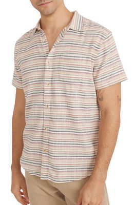 Marine Layer Stripe Short Sleeve Stretch Cotton Button-Up Shirt in Multi Stripe
