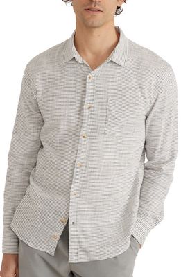 Marine Layer Stripe Stretch Cotton Button-Up Shirt in Natural/Black Stripe