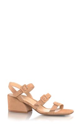 MARION PARKE Lucy Ankle Strap Sandal in Camel