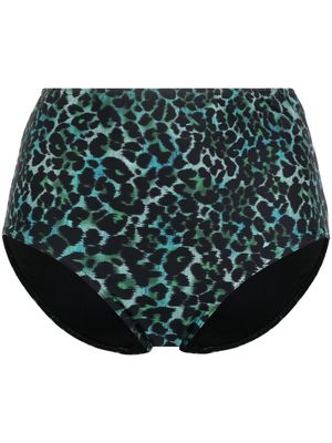 Marlies Dekkers Panthera leopard-print bikini-bottoms - Black