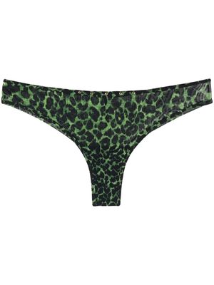 Marlies Dekkers Rhapsody leopard print briefs - Green