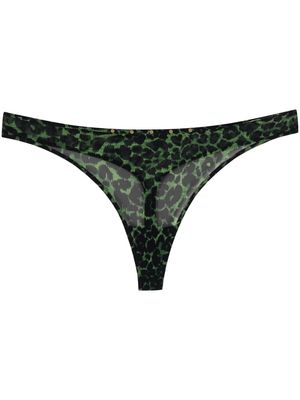 Marlies Dekkers Rhapsody leopard print thong - Green