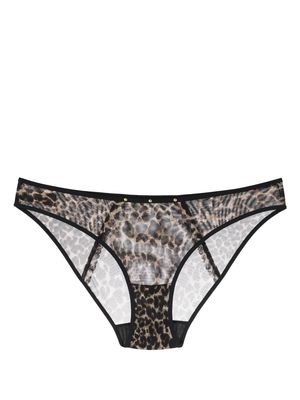 Marlies Dekkers Vixen leopard-print mesh briefs - Brown
