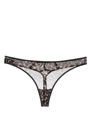 Marlies Dekkers Vixen leopard-print mesh thong - Brown