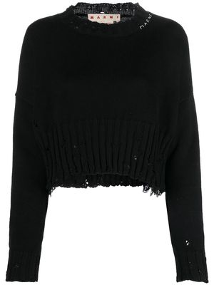Marni distressed cropped jumper - Black