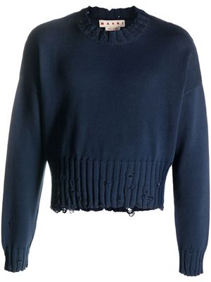 Marni distressed-effect cropped jumper - Blue