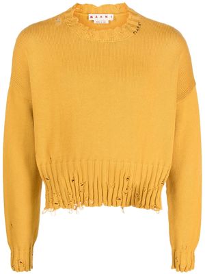 Marni distressed-effect cropped jumper - Yellow
