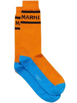 Marni intarsia-knit logo socks - Orange