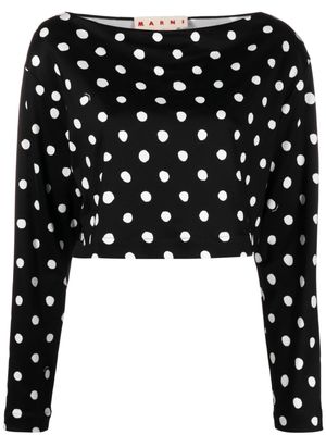 Marni polka-dot boat-neck cropped blouse - Black