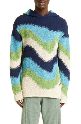 Marni Wave Cotton Hooded Sweater in Powder Blue