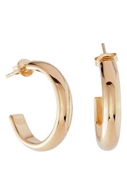 Martha Calvo Irina Hoop Earrings in Gold