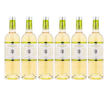 Martha Stewart Wine Co. Set of 6 Bright French White