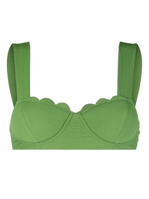 Marysia scallop-edge balconette bikini top - Green
