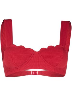 Marysia scallop-edge balconette bikini top - Red
