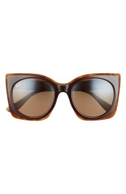 Maui Jim Pakalana 52.5mm Polarized Plus2® Cat Eye Sunglasses in Chocolate/Tortoise