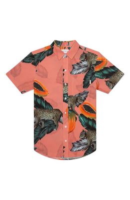 MAVRANS Tailored Fit Fruta Bomba Waterproof Short Sleeve Performance Button-Up Shirt in Coral