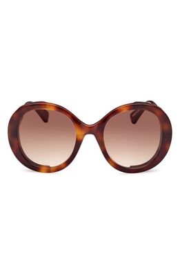 Max Mara 54mm Gradient Round Sunglasses in Dark Havana /Gradient Brown