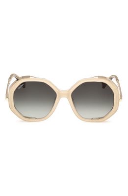 Max Mara 55mm Geometric Sunglasses in Ivory /Gradient Green