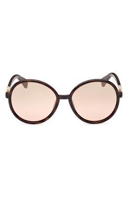 Max Mara 58mm Mirrored Round Sunglasses in Dark Havana /Brown Mirror