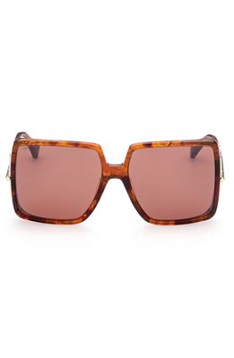 Max Mara 58mm Square Sunglasses in Red Havana /Brown