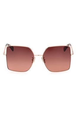 Max Mara 59mm Gradient Butterfly Sunglasses in Dark Brown/gradient Brown