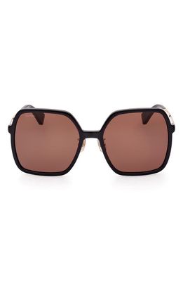 Max Mara 59mm Square Sunglasses in Shiny Black /Brown